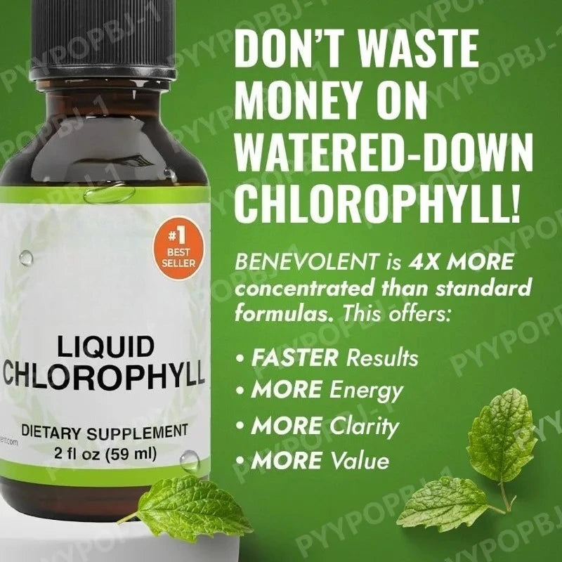 Nourishment Chlorophyll Supplement Detox Immune Support Internal Deodorizer Liquid Drops Natural Mint Flavor 59ml
