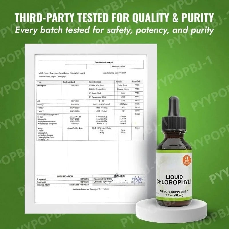 Nourishment Chlorophyll Supplement Detox Immune Support Internal Deodorizer Liquid Drops Natural Mint Flavor 59ml