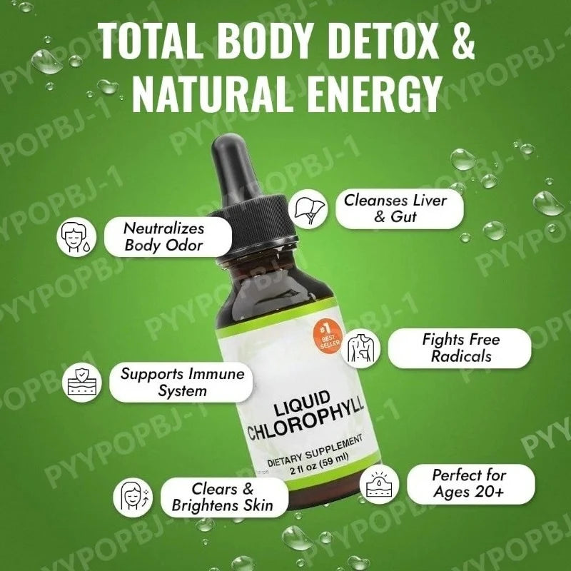 Nourishment Chlorophyll Supplement Detox Immune Support Internal Deodorizer Liquid Drops Natural Mint Flavor 59ml